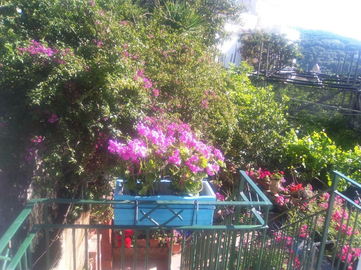 Isabella Massalubrense Villa Massa Lubrense Dış mekan fotoğraf